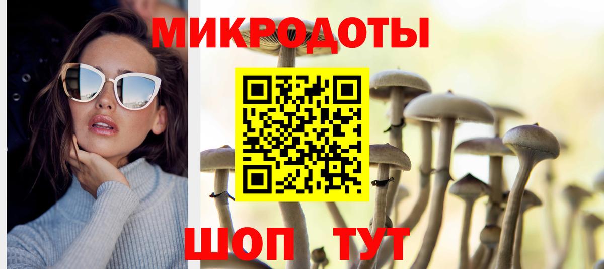 Псилоцибиновые грибы Psilocybine cubensis Люберцы