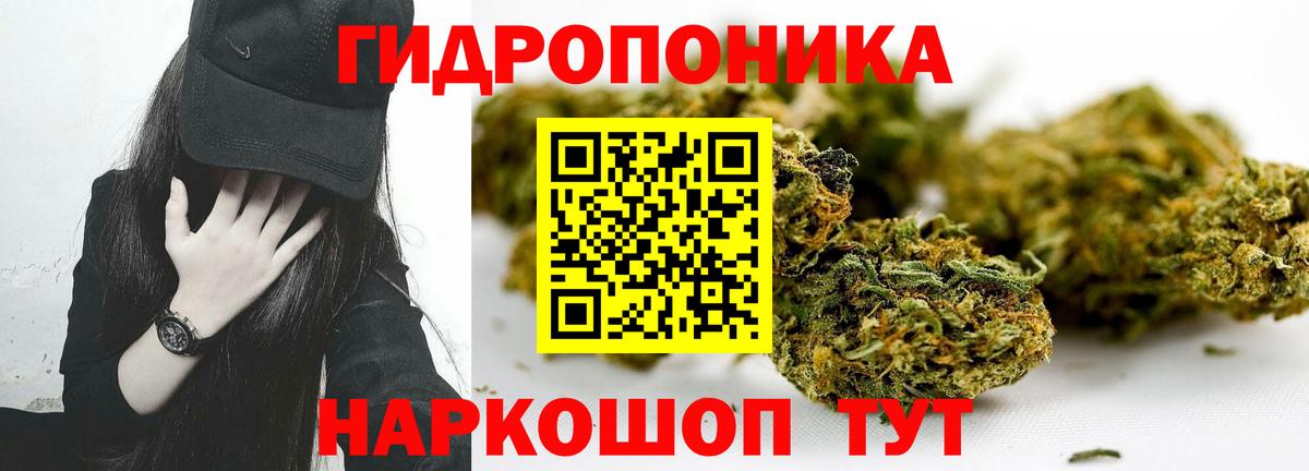 Бошки Шишки планчик Люберцы